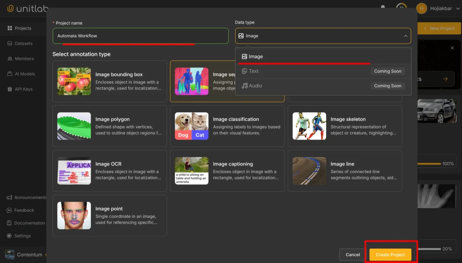 Project Creation | Unitlab Annotate