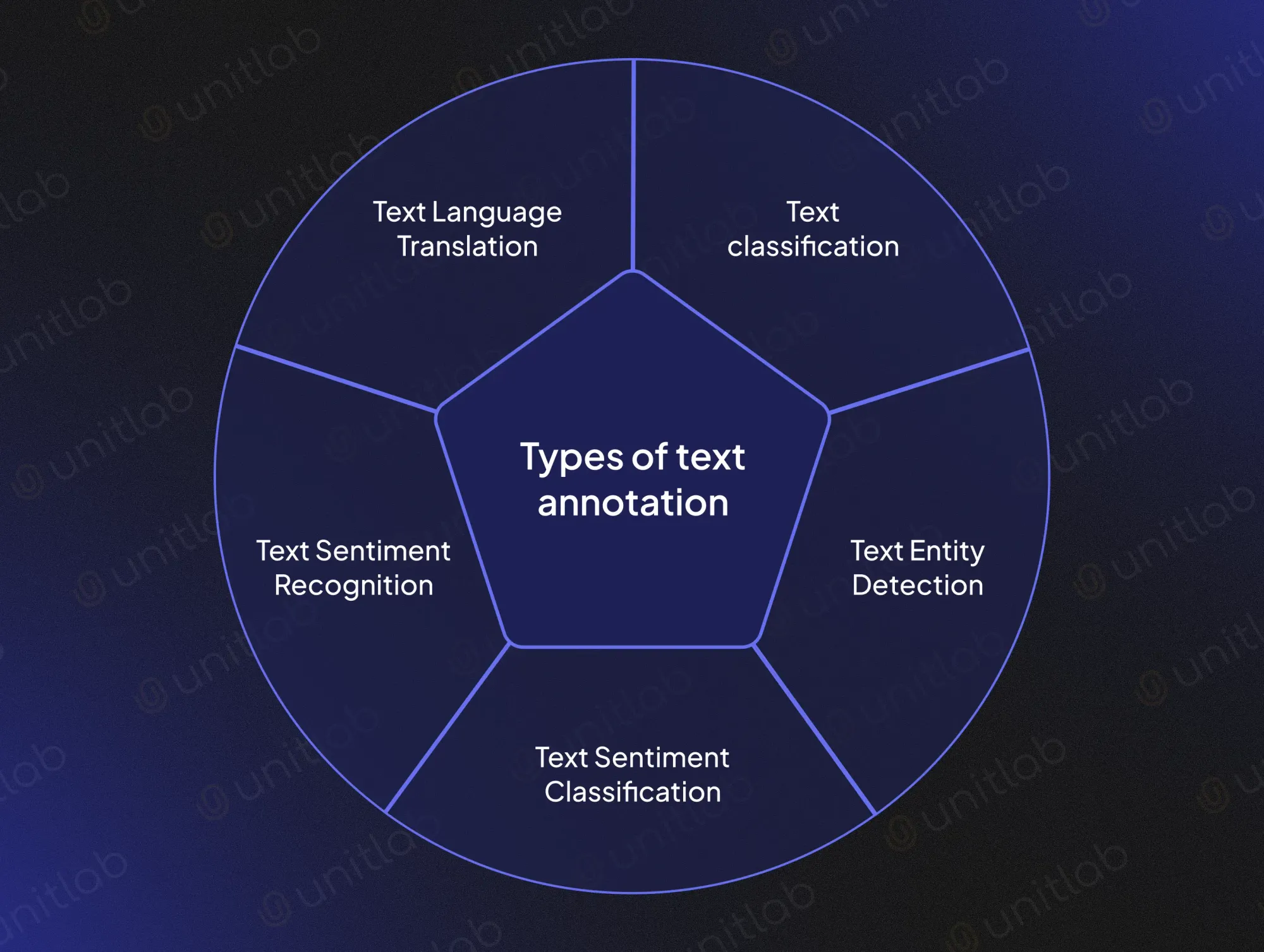 Text Annotation with Unitlab AI [2025]