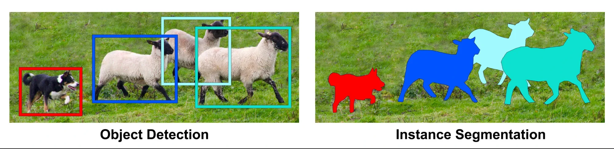 Object Detection vs. Instance Segmentation Illustration