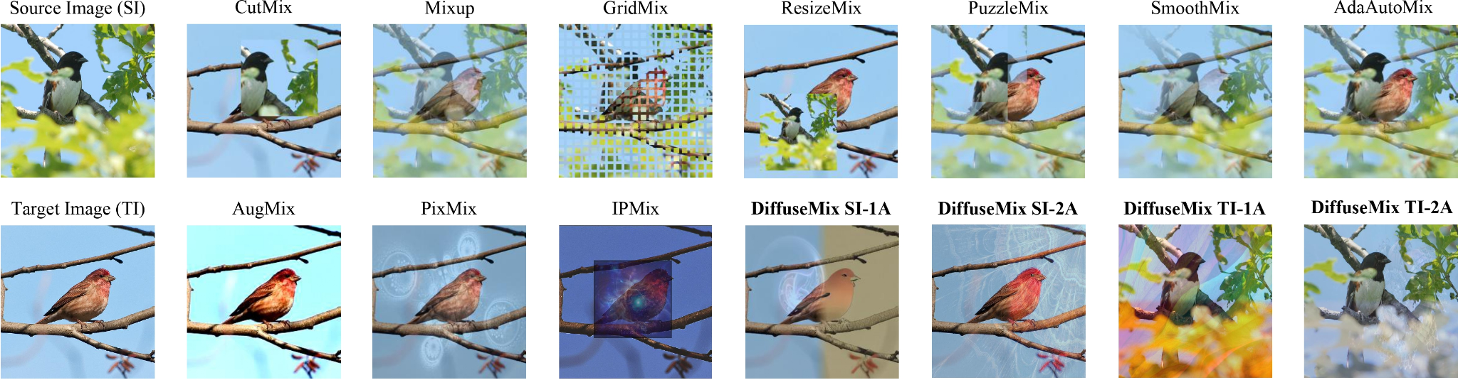Figure 12: Advanced image data augmentation techniques.