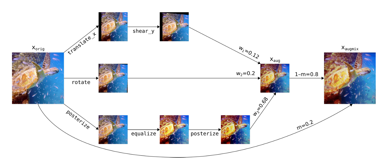 Figure 16: A realization of AUGMIX.
