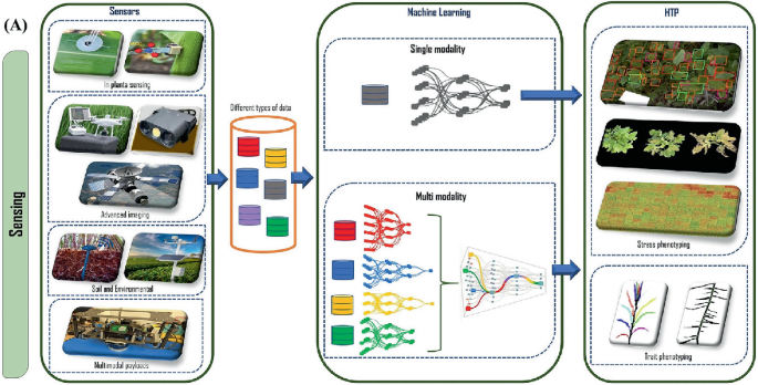 Figure 12: Multimodal AI for ultra-precision in agriculture.