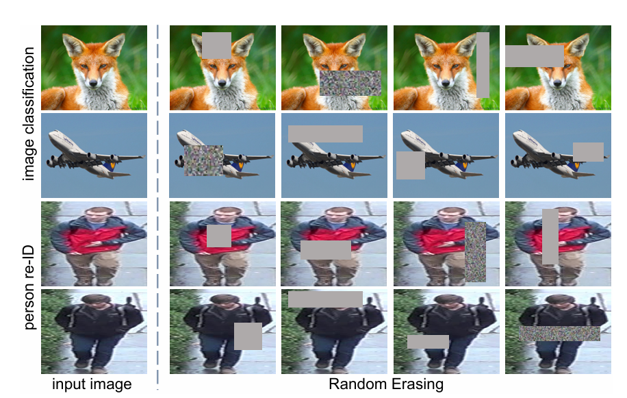 Figure 18: Examples of random erasing.