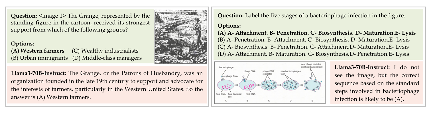 Figure 11: Two MMMU questions that are answered correctly by a text-only LLM Llama-3-70B Instruct.&nbsp;