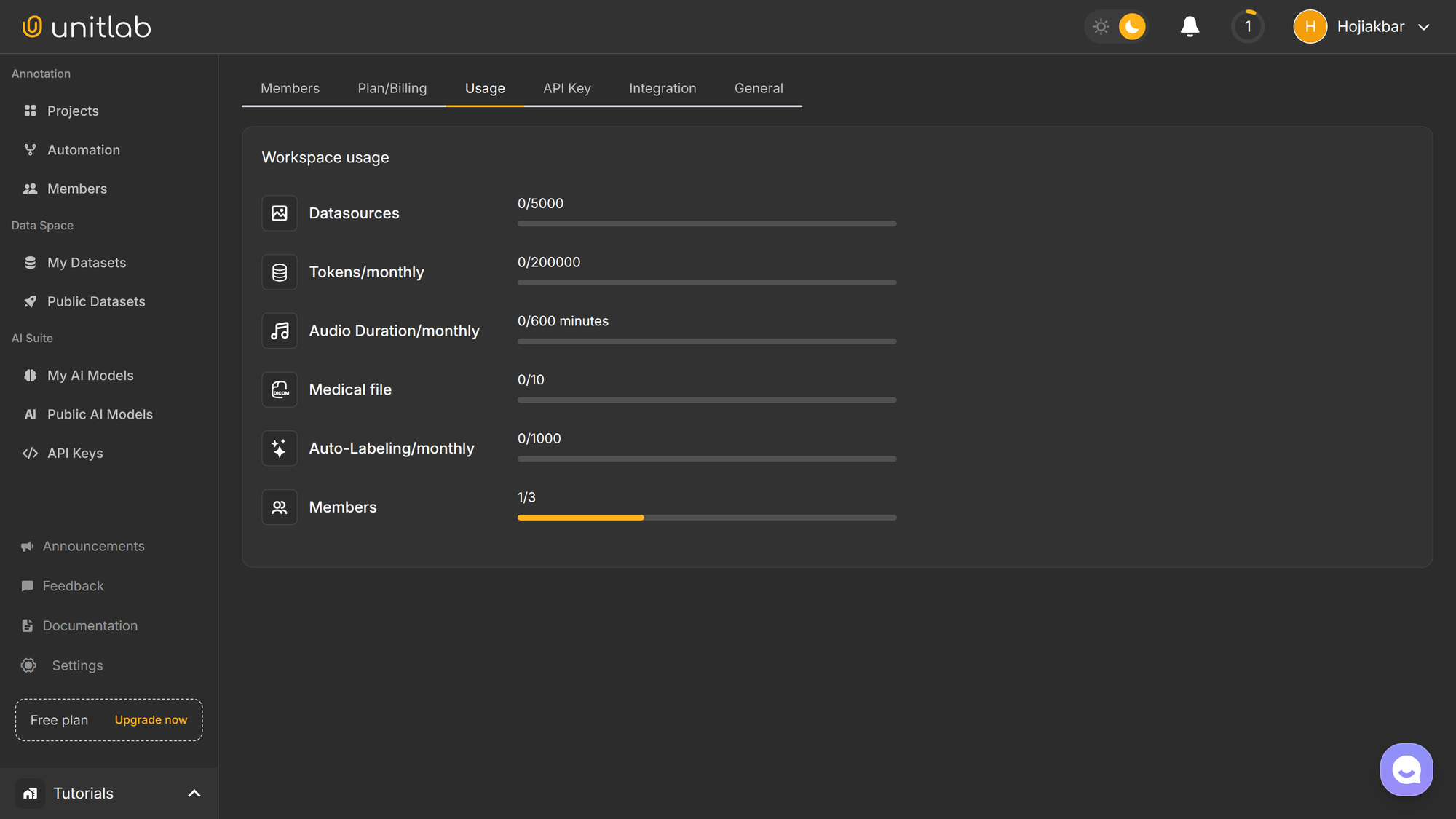Usage Tab on Settings | Unitlab AI