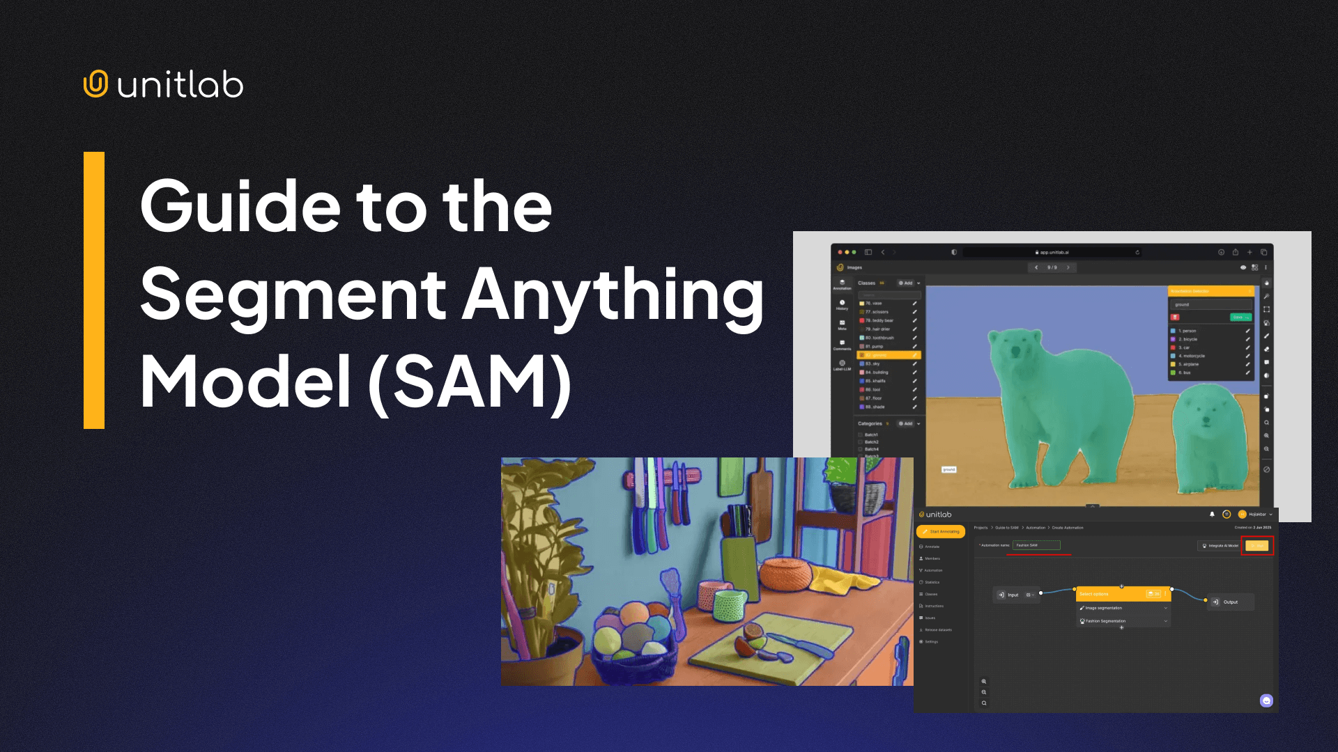 Guide to the Segment Anything Model (SAM)