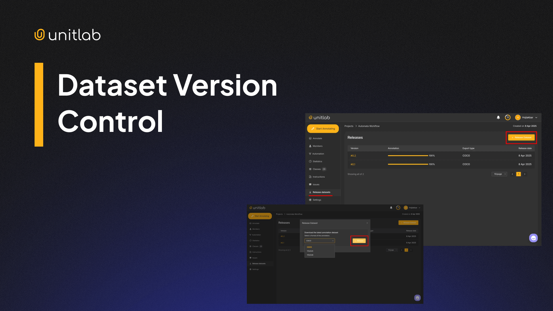 Dataset Version Control
