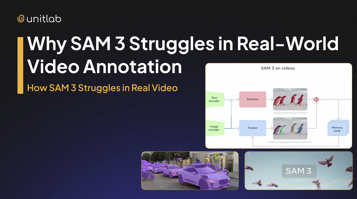 SAM 3: Challenges in Real-World Video Annotation