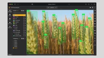 Computer Vision in Agriculture