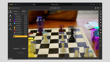 7 Tips for Accurate Image Labeling